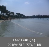DSCF1448.jpg