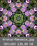 Krokus-Mandala.jpg